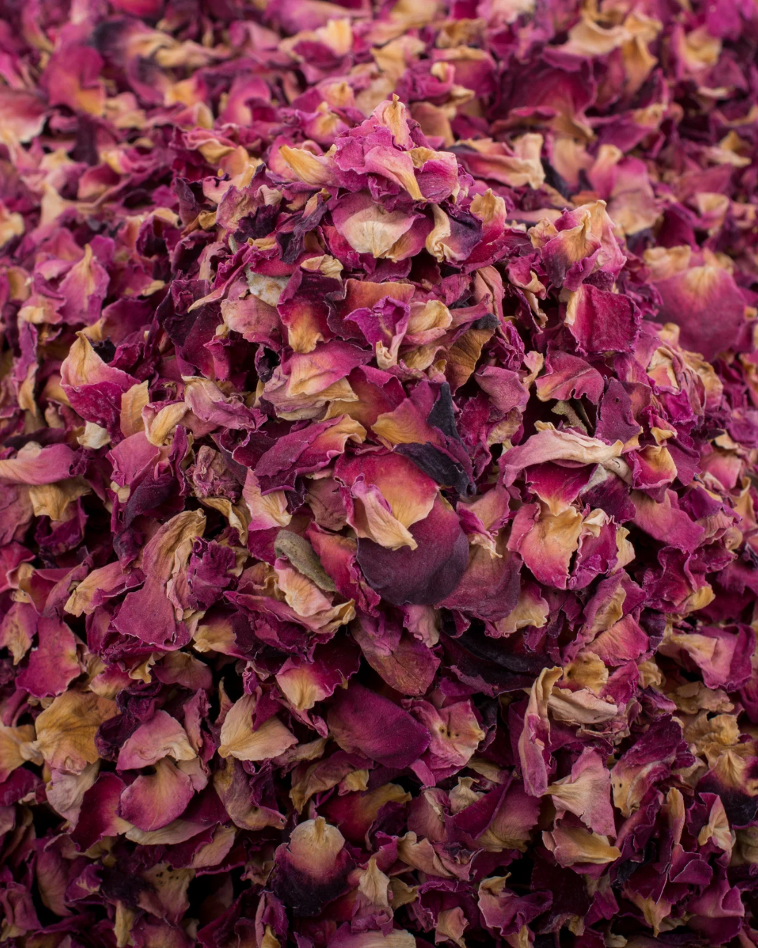 ABOUT ROSE