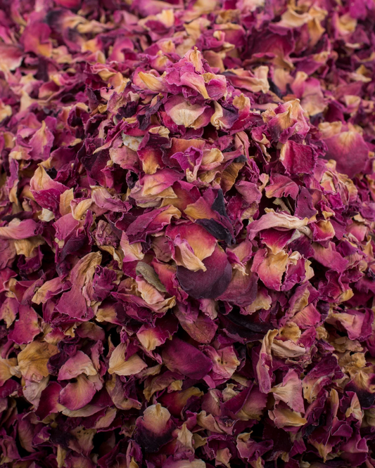 ABOUT ROSE