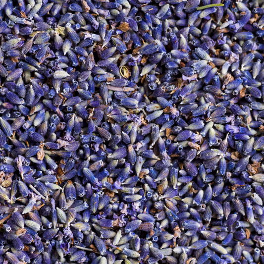 Organic Lavender